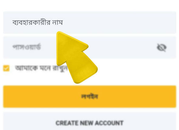 betvisa bd com betvisa কিভাবে betvisa এ লগইন করবেন ধাপ 3